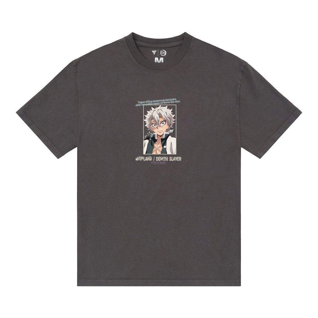 DEMON SLAYER SINISTER SHIRT (VINTAGE GREY)